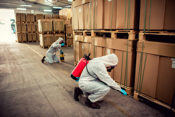 Best Bed Bug Extermination  in Berkley, CO
