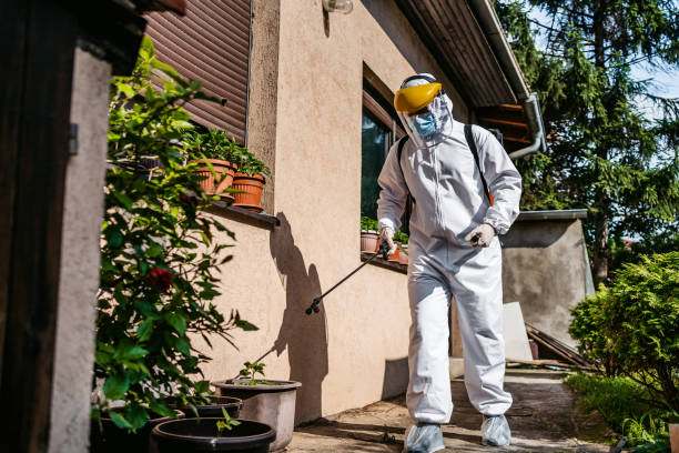 Best Pest Control Near Me in Berkley, CO