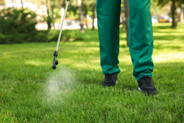 Professional Pest Control in Berkley, CO