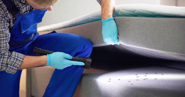 Best Mosquito Control Services  in Berkley, CO